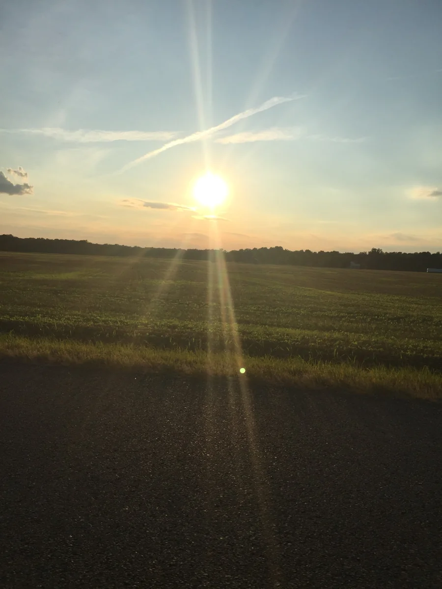 Cultivated farm fields at sunset, photographed by Todd Jerome Jenkins